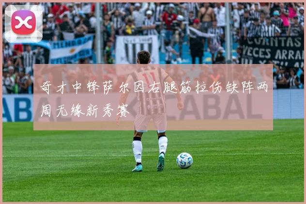 奇才中锋萨尔因右腿筋拉伤缺阵两周无缘新秀赛