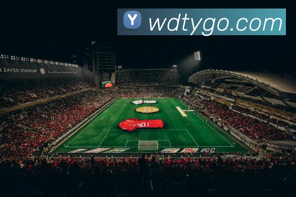 韦德体育APP 封面图